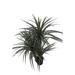 Brayden Studio® Floor Palm Tree in Pot Ceramic/Plastic | 43.31 H x 12.78 W x 10.75 D in | Wayfair BYST5031 41442038