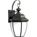 Charlton Home® Louise Royal Bronze Outdoor Wall Lantern Glass/Metal in Brown | 18.75 H x 10 W x 10 D in | Wayfair D803AD9D3E64446E90683AA44362B192