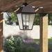 Lark Manor™ Arnetria 4 -Bulb 24.5" H Outdoor Hanging Lantern Brass/Glass/Metal in Brown | 24.5 H x 15 W x 15 D in | Wayfair