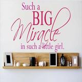 Design W/ Vinyl Such a Big Miracle In Such a Little Girl Wall Decal Vinyl in Black | 14 H x 30 W in | Wayfair OMGA4151176