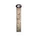 Fan Creations NCAA Growth Chart Wood in Brown | 36 H x 6 W x 0.38 D in | Wayfair C0871-Georgia