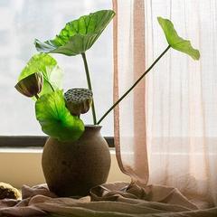 Ebern Designs Rustic Seed & Leaf Lotus Stem Plastic, Size 24.0 H x 9.5 W x 1.0 D in | Wayfair EBDG2259 42616563