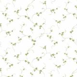 Fleur De Lis Living Stockton 32.7' x 20.5" Floral Trail Roll Wallpaper Paper in Green/White | 20.5 W in | Wayfair 49251588B3BD4904AD61E7C050AC5310