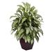 Fleur De Lis Living 27" Silver Queen Foliage Plant in Planter Silk/Wood/Plastic in Brown | 38 H x 30 W x 28 D in | Wayfair FDLL5810 42473201