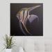 Bay Isle Home™ Wireman Angelfish' by Michael Creese Painting Print | 10 H x 10 W x 1.5 D in | Wayfair 849B14F8015143258BB1C45191ED6A7A