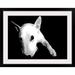 Ebern Designs 'English Bull Terrier' by Francy Graphic Art Print Plastic in Black/White | 34 H x 44 W x 1 D in | Wayfair