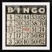 Williston Forge Bissell 'Bingo' Rabo Graphic Art Print in Brown | 38 H x 38 W x 1 D in | Wayfair 7CED22751C4E43E088415AC7F8E462E0