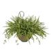 Highland Dunes Faux Spider Hanging Foliage Plant in Planter Metal | 24 H x 28 W x 28 D in | Wayfair 12ECB6B3D4D54D96A0F08DCEFE50D652