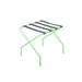 Innit Pamaleta Folding Metal Luggage Rack Plastic/Metal in Green | 20 H x 18 W x 18 D in | Wayfair i13-16-06n