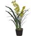 House of Silk Flowers Inc. Faux Green Cymbidium Orchid Flower in Vase Polyester | 30 H x 16 W x 16 D in | Wayfair HF95222-GR