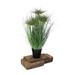 Highland Dunes Five Heads Desktop Foliage Grass in Pot Plastic | 24 H x 2.5 W x 2.5 D in | Wayfair DB5B5CC567704A47A782484038447F3C