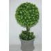 Jeco Inc. Boxwood Topiary in Pot Ceramic | 16.5 H x 7 W x 7 D in | Wayfair HD-BT031