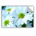 Gracie Oaks Fresh Daisies by Kathy Yates Photographic Print Removable Wall decal in White | 24 H x 36 W in | Wayfair