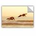 ArtWall Pelicans At Sunset by Lindsey Janich Removable Photographic Print Removable Wall decal Metal in Brown | 32 H x 48 W in | Wayfair