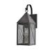 Longshore Tides Michaela 1-Light Outdoor Wall Lantern Brass in Brown | 16.75 H x 5.75 W x 8.75 D in | Wayfair 5CE3E5CC70A74E3083E4304CEE5A0098