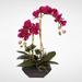 Bayou Breeze Phalaenopsis Orchid w/ Artificial Succulents Floral Arrangement in Planter Foam, Bamboo in Pink/Red | 23 H x 14 W x 12 D in | Wayfair