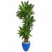 Latitude Run® 60" Artificial Dracaena Plant in Planter Silk/Ceramic/Plastic | 72 H x 25 W x 25 D in | Wayfair D6CDA3757F7C43CB810C0C78036A709F