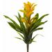 Bay Isle Home™ Bromeliad 4 - Piece Artificial Flowering Plant Set Silk/Plastic | 15 H x 8 W x 8 D in | Wayfair 07EC844EF8E248BB847383C3519FE4D7