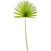 Bay Isle Home™ 6 33" Artificial Palm Plant Set Silk/Plastic | 33 H x 14 W x 0.375 D in | Wayfair C3D60EA1B90740E5933FFF2780786496