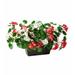 Plow & Hearth Everlasting Faux Geranium Flowering Plant in Box Plastic | 14 H x 17 W x 13.5 D in | Wayfair 65D47