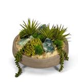 T&C Floral Company Flourite Succulent Plant in Concrete Pot Plastic | 9 H x 13 W x 13 D in | Wayfair S1724CF