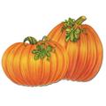 The Holiday Aisle® 4 Piece Fall/Thanksgiving Pkgd Pumpkin Cutout Set | 15.5 H x 15.5 W x 0.01 D in | Wayfair THLA8221 40759011
