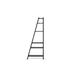 Latitude Run® Delta 77" H x 30" W Ladder Bookcase Wood in Black | 77 H x 30 W x 12 D in | Wayfair 259E687323F84A3680611850BED7817D