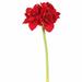 House of Hampton® Single Velvet Amaryllis Stem Polyester in Red | 28 H x 9 W x 9 D in | Wayfair 411A4EC404564F788D627EE319C9F07B