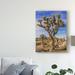 Union Rustic 'Views of Joshua Tree III' Photographic Print on Wrapped Canvas in White/Black | 47 H x 35 W x 2 D in | Wayfair