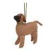 Red Barrel Studio® Arcadia Home Bullmastiff Hand Knit Ornament in Brown | 4 H x 2 W x 4 D in | Wayfair A0AB2F175D784F1A9BCAFA024CB34C00