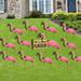 The Party Aisle™ 13 Piece Flocked Flamingo Garden Stake Set Plastic in Pink | 21.6 H x 37.5 W x 0.25 D in | Wayfair