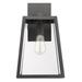 Charlton Home® Krum 1-Bulb 16" H Outdoor Wall Lantern Glass/Metal/Steel in Black | 16 H x 9 W x 8.25 D in | Wayfair