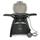 Weber Q 3200, Titanium Aluminum/Cast Iron in Gray | 43.5 H x 50.2 W x 21 D in | Wayfair 57060001