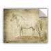 Williston Forge Fenton Horse Anatomy 101 Removable Wall Decal Vinyl in Black | 36" H x 48" W x 0.1" D | Wayfair WLFR2802 40022315