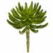 Primrue Artificial Succulent Plant Silk/Plastic | 12 H x 8 W x 8 D in | Wayfair 70383C08FCD648D190703D129625D2BF