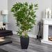 Bayou Breeze 5ft. Bamboo Artificial Tree in Black Planter (Real Touch) UV Resistant (Indoor/Outdoor) Earthenware/Silk/Plastic | Wayfair