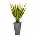 Orren Ellis Artificial Agave Plant in Planter Earthenware/Silk/Plastic | 60 H x 30 W x 30 D in | Wayfair 6812C0ED742541A7B246B0D827AD2FC6