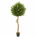 Fleur De Lis Living 5.5ft. Olive Topiary Artificial Tree UV Resistant (Indoor/Outdoor) Silk/Plastic | 66 H x 16 W x 16 D in | Wayfair