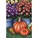 Toland Home Garden Fall Beauty 28 x 40 inch House Flag, Polyester in Black/Red | 40 H x 28 W in | Wayfair 1010550
