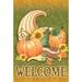 Toland Home Garden Pumpkin Cornucopia 2-Sided Polyester 40 x 28 in. House Flag in Brown/Green | 40 H x 28 W in | Wayfair 1010563