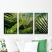 Bay Isle Home™ ' Palm' 3 Piece Wrapped Canvas Graphic Art Print Set on Canvas in Green | 20 H x 36 W x 1.5 D in | Wayfair