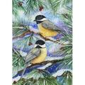 Toland Home Garden Snowy Birds 2-Sided Polyester Garden Flag in Blue/Green | 40 H x 28 W in | Wayfair 119404