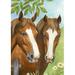 Toland Home Garden Twin Horses 28 x 40 inch House Flag, Polyester in Brown | 40 H x 28 W in | Wayfair 109386