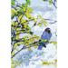 Toland Home Garden Black And Blue Bird 28 x 40 inch House Flag, Polyester in Gray | 40 H x 28 W in | Wayfair 109995