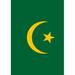 Toland Home Garden Flag of Mauritania 2-Sided Polyester 18 x 12.5 in. Garden Flag in Green | 18 H x 12.5 W in | Wayfair 1110667