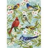 Toland Home Garden Bird Collage 2-Sided Polyester 18 x 12.5 inch Garden Flag in Gray | 18 H x 12.5 W in | Wayfair 112582