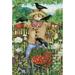 Toland Home Garden Friendly Scarecrow 28 x 40 inch House Flag, Polyester in Green | 40 H x 28 W in | Wayfair 1010095
