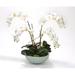 Distinctive Designs White Phaleanopsis Orchids in Ceramic Bowl | 30 H x 34 W x 29 D in | Wayfair 9888