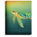 DiaNoche Designs 'Syndney Seaturtle' Graphic Art Print on Wrapped Canvas Metal in Blue/Brown/Green | 40 H x 30 W x 1 D in | Wayfair