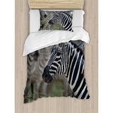 East Urban Home African Zebra in Serengeti National Park Safari Animal in Desert Picture Duvet Cover Set Microfiber | Twin | Wayfair